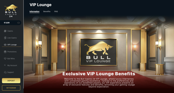 BullCasino24 interface
